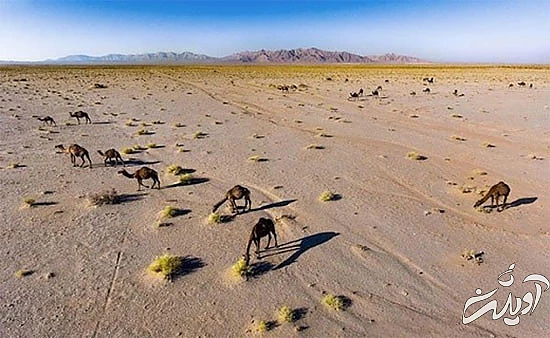 به آفریقای ایران سفر کنید به آفریقای ایران سفر کنید